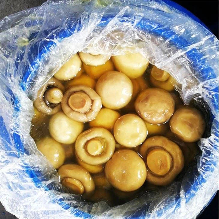 Champignon Mushroom In Plastic Drum (3)