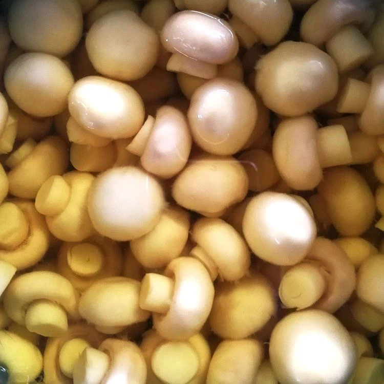 Champing Agaricus In Brine