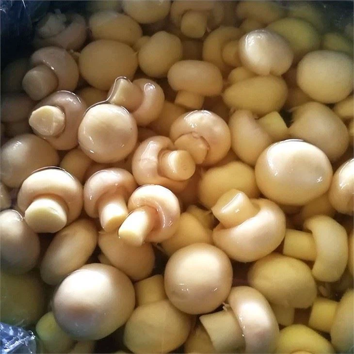 Champignon Agaricus In Brine (2)