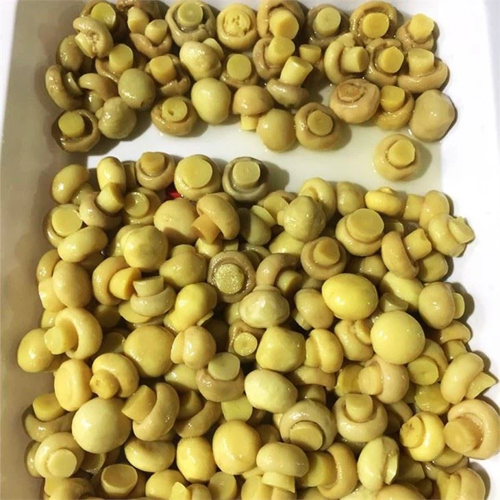 Champignon Agaricus In Brine (3)