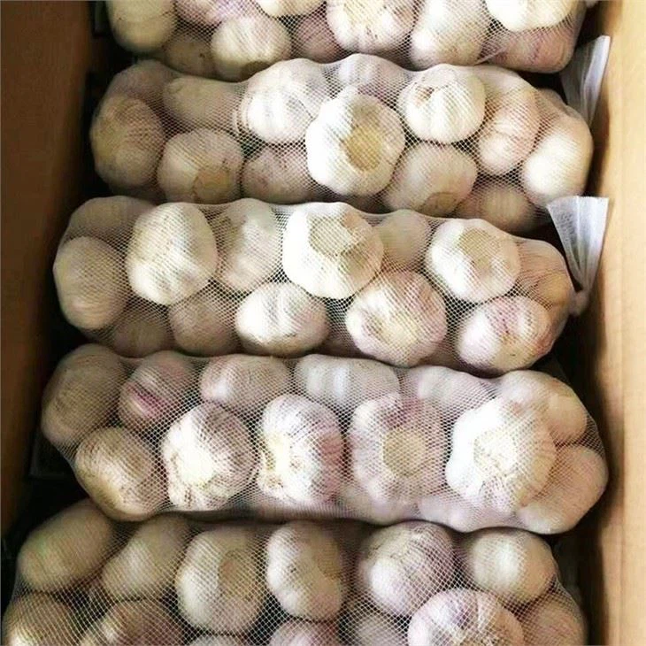 Fresh Garlic In Carton (2)