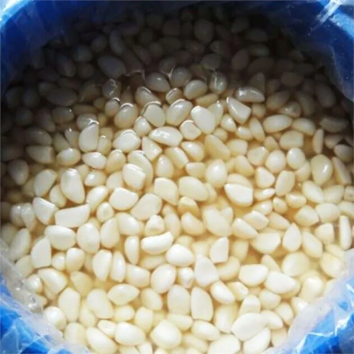 Garlic In Brine In 25kg Drum (3)
