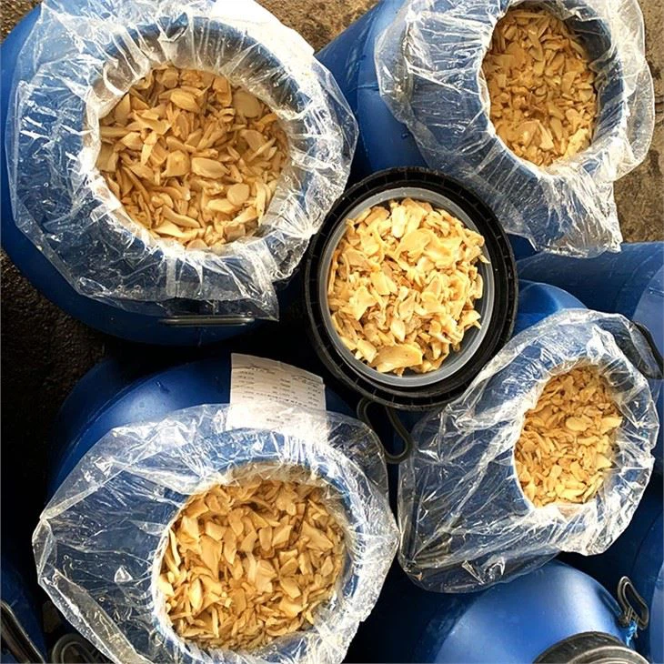 King Oyster Mushroom In Drum (1)