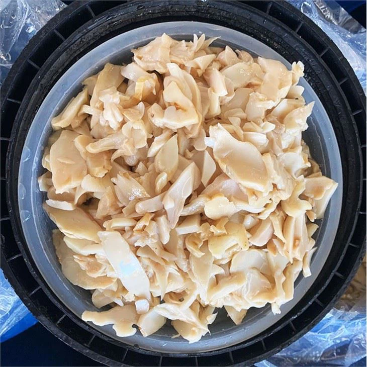 King Oyster Mushroom In Drum (2)