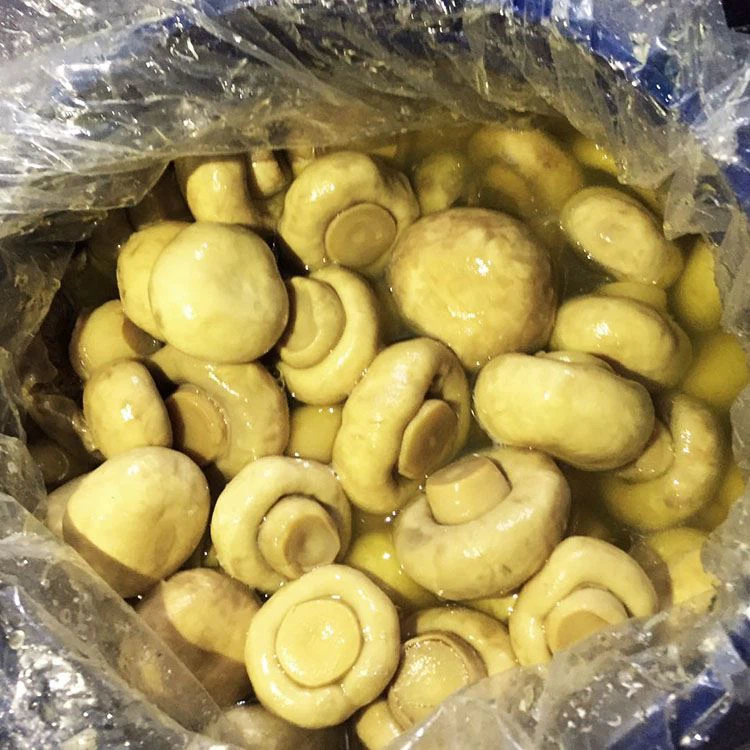 Mushroom Agaricus Bisporus In Birne