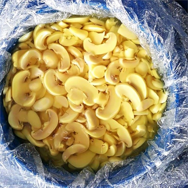 Mushroom In Drum (5)