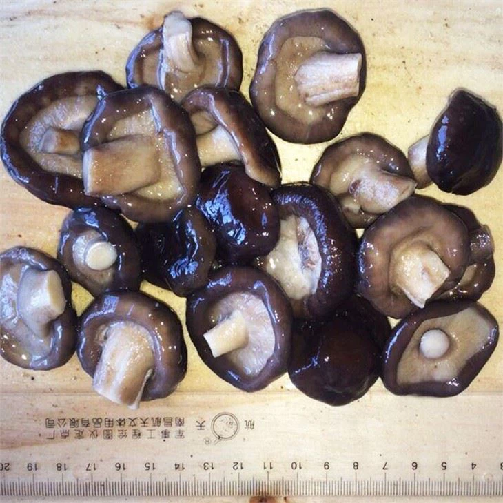 Shiitake Mushroom In Brine (2)