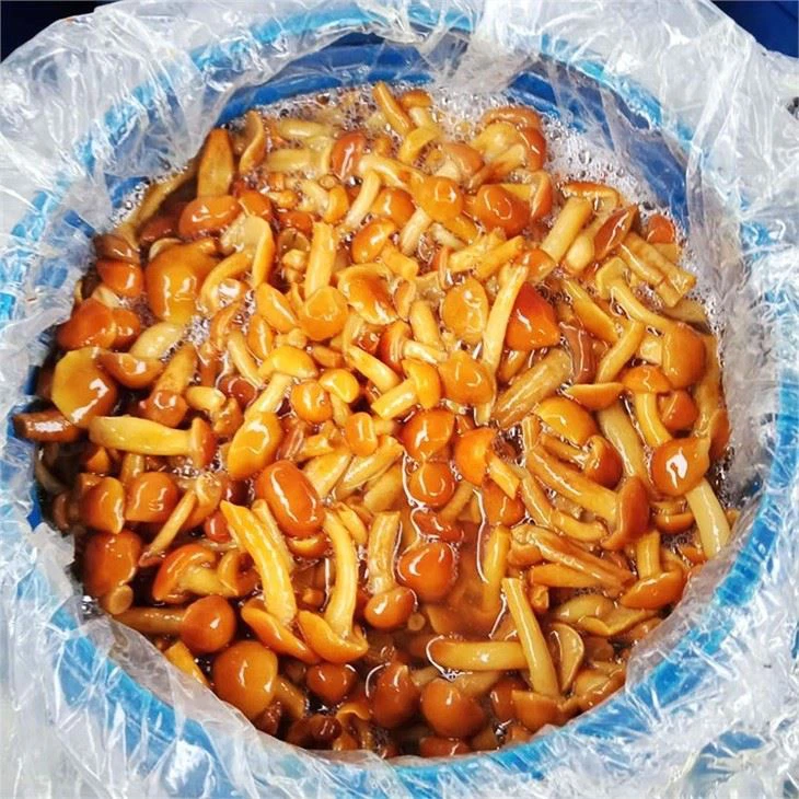 Shimeji Mushroom In Brine (4)