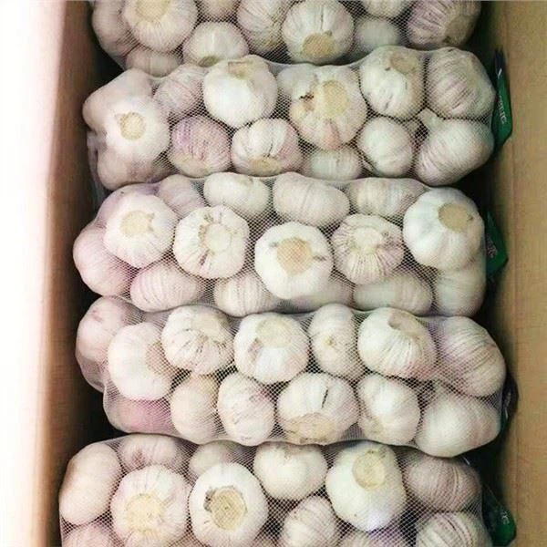 How to make fresh garlic oil?