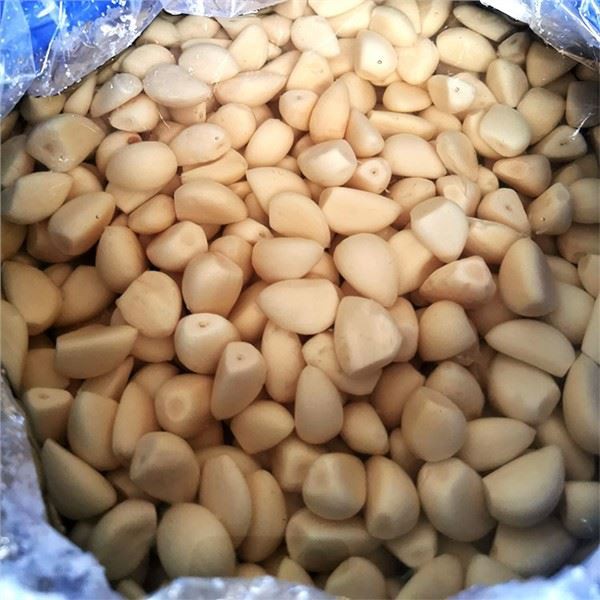 Fresh Raw Garlic in Brine