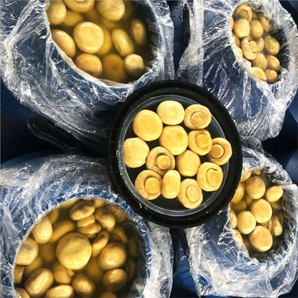 How should I store opened mushrooms in brine?