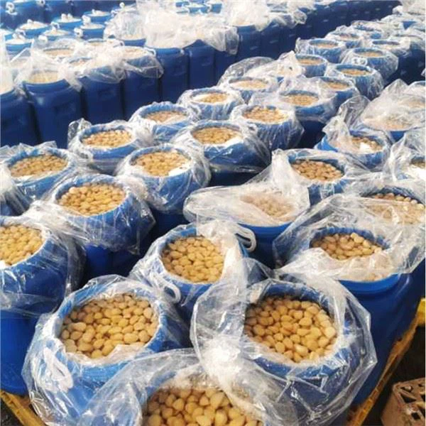 Salted Garlic Cloves in Brine