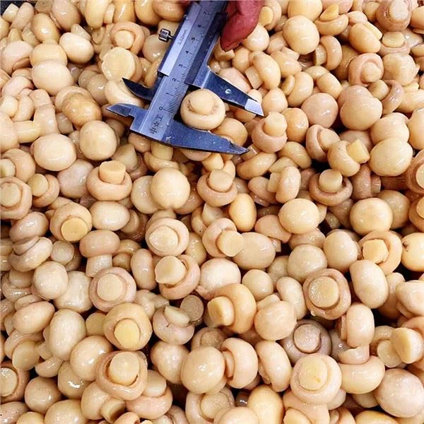 Whole Mushroom in Brine