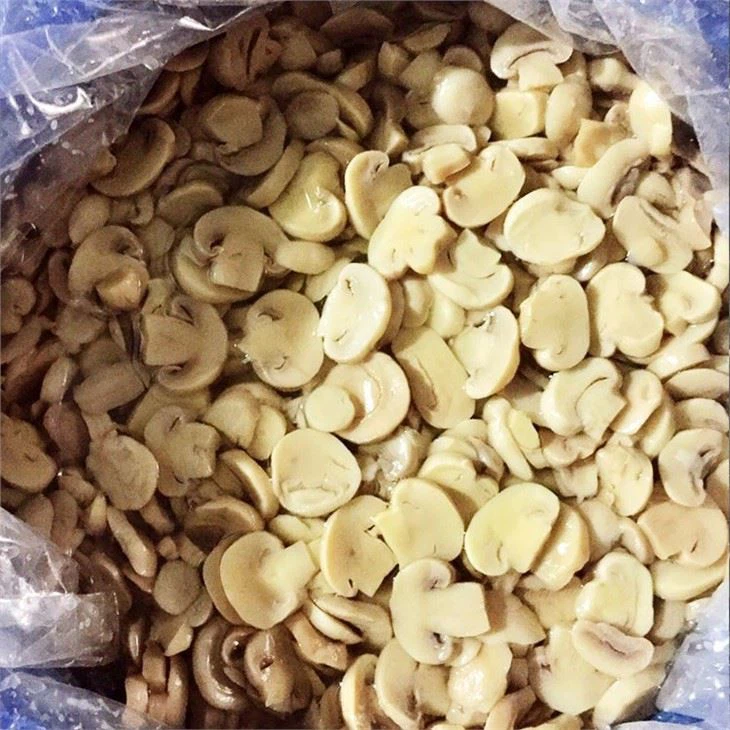 Vinegar Mushroom In Drums (2)