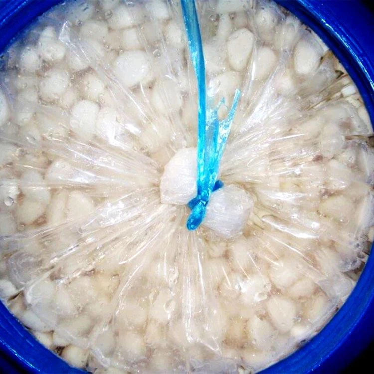 White Garlic In Brine In Plastic Drum