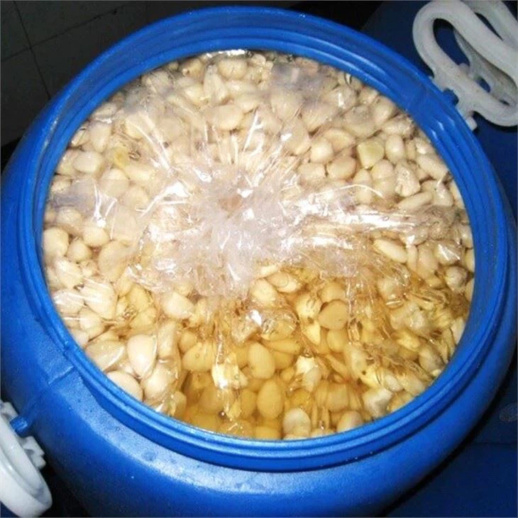 White Garlic In Brine in plastic drum (2)