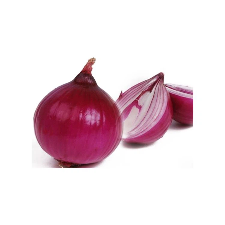 White Onion