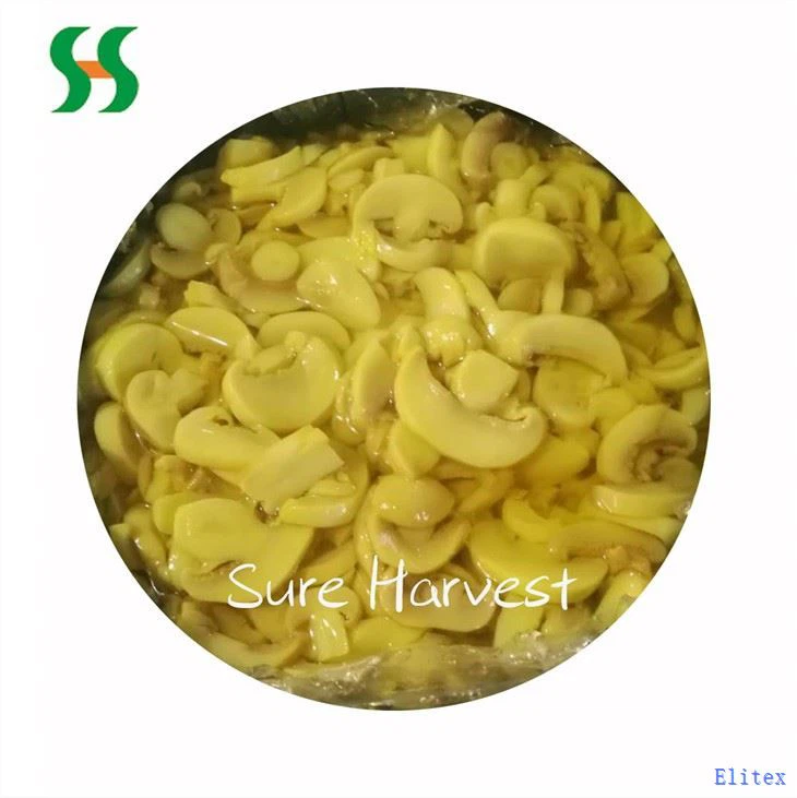 Salted Sliced Mushroom In SO2 In Drum
