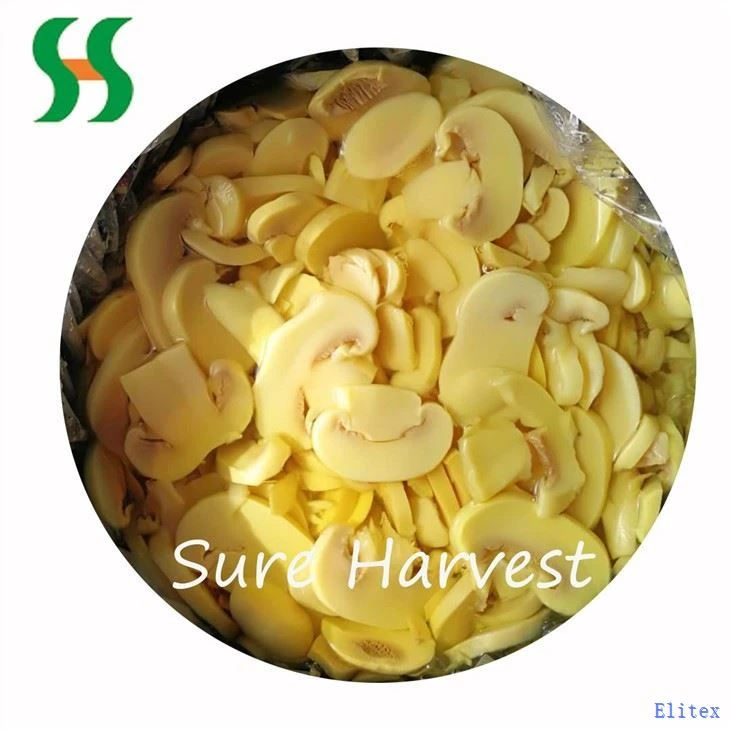 Salted Sliced Mushroom In SO2 In Drum