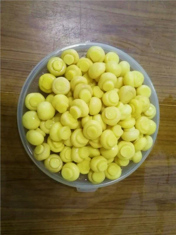 How to tell if Mushroom Grade B is fresh?