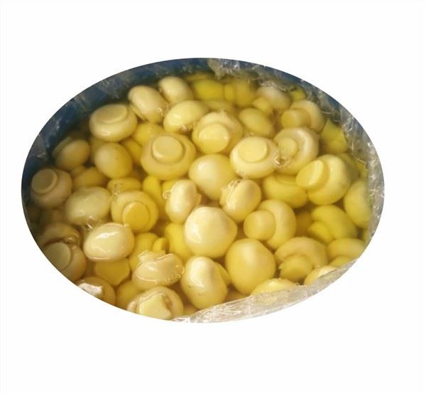 Premium Mushroom Whole In Brine To Brazil