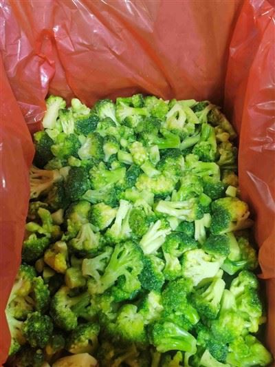 Chinese IQF Broccoli With High Quality Chinese IQF Broccoli With High Quality