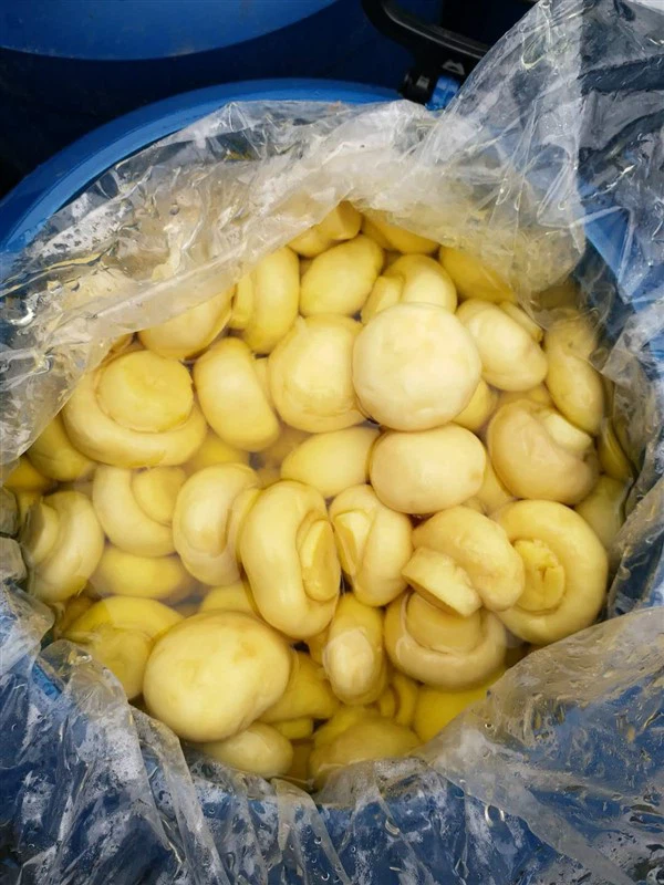 How can I make Mushroom In Drum more tender?