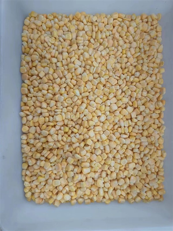 IQF FROZEN SWEEK CORN KERNELS