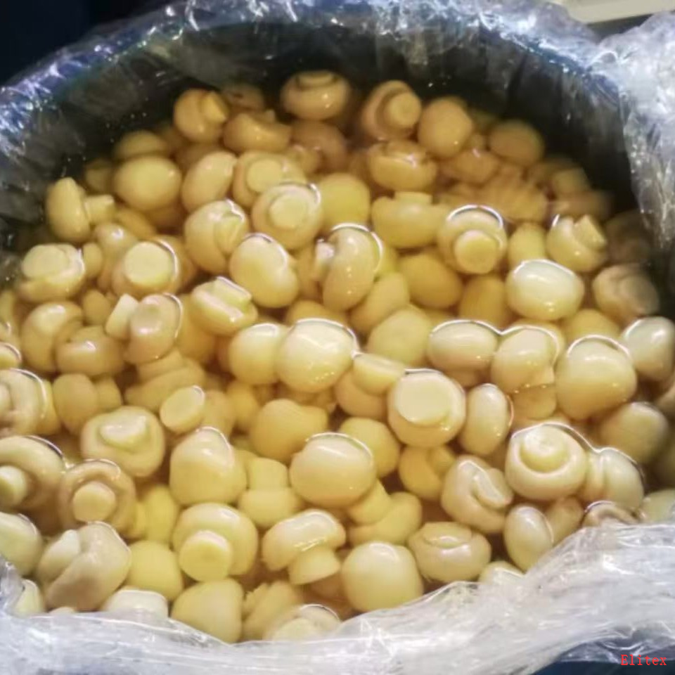 Brined Whole Champignon Mushrooms in Drums For Canning And Processing