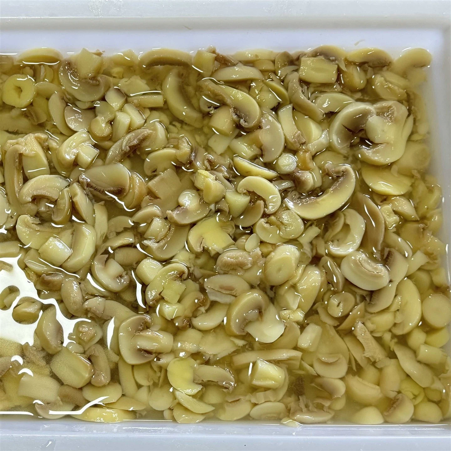 Salted Sliced Mushrooms To Brazil