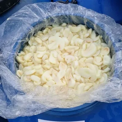 Top Slice Mushroom in Brine in China